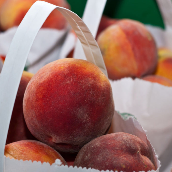 Innovative Verpackungen für Lebensmittel