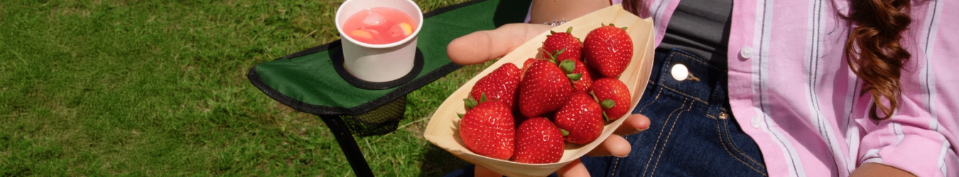 Fingerfood Schalen