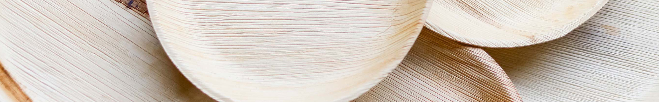 Vaisselle Jetable Bio Wisefood Assiettes En Feuille De Palmier Wiseware