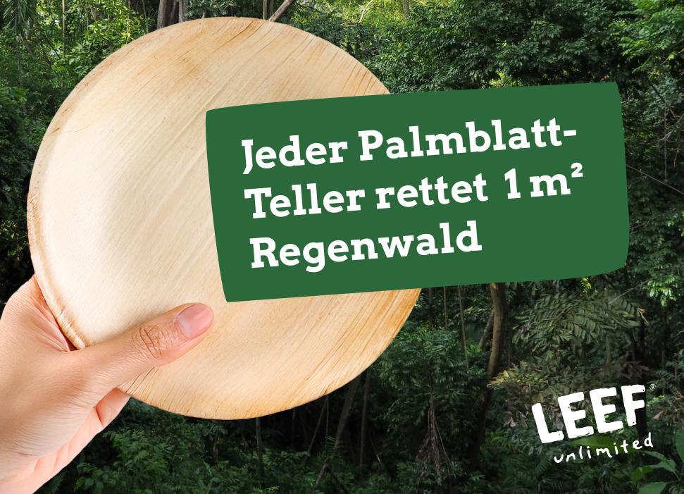 Pourquoi une feuille de palmier ?