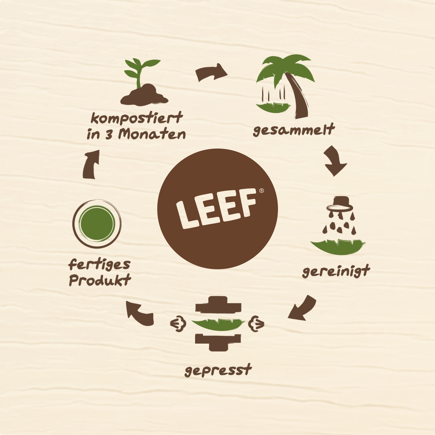 LEEF – Les spécialistes des feuilles de palmier
