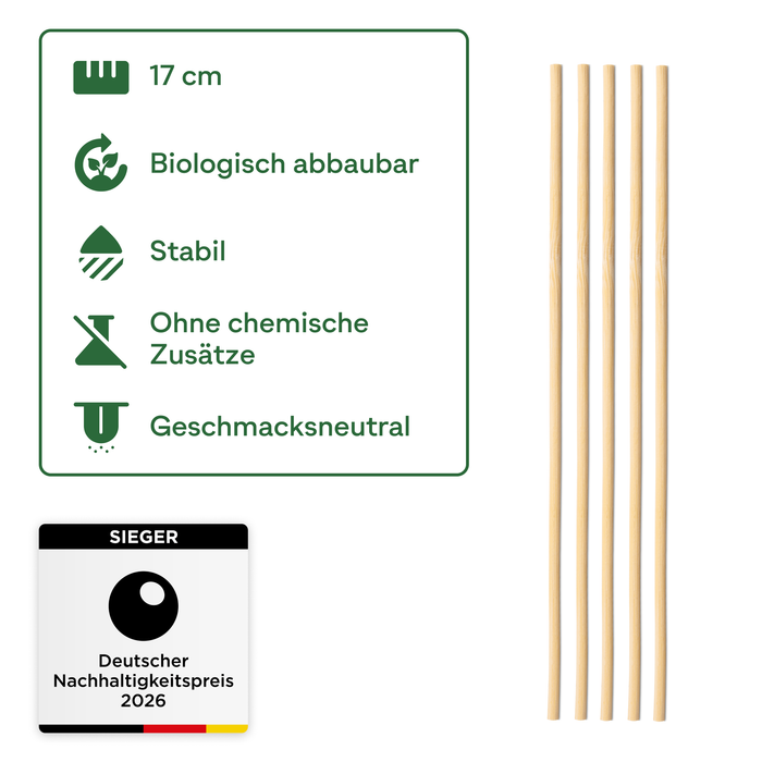 Bâtonnets Cake Pop en bois de bouleau - 17cm