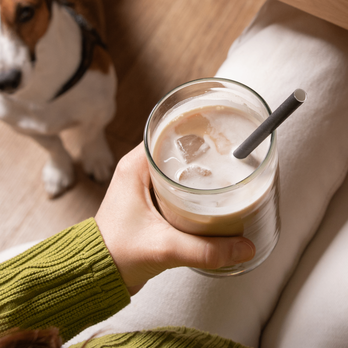 Pailles en papier 8x200mm noir