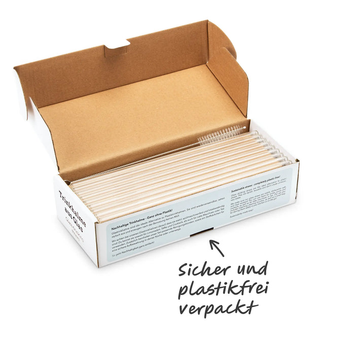 Lot de pailles en verre : 50 pailles + 2 pinceaux