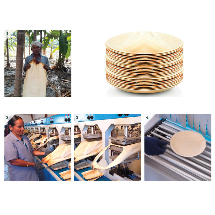 Assiettes En Feuille De Palmier Jetables – 20 Pièces, 24x18 Cm, Compostables, Idéales Pour Finger Food Et Fêtes - 12