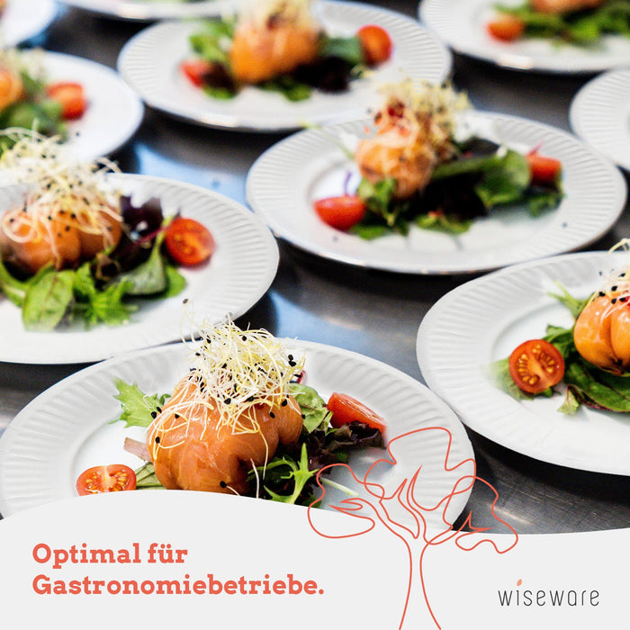 Assiettes jetables en carton - assiettes en papier Ø 20 cm blanc